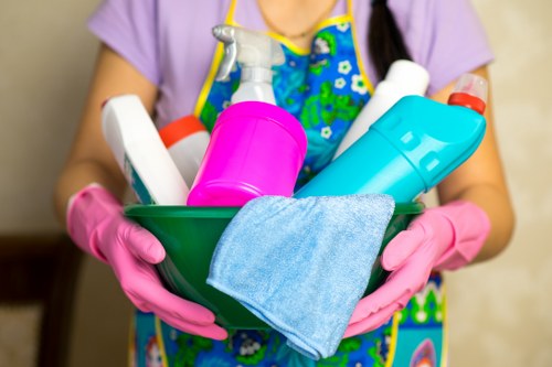 Deep carpet cleaning to remove pet odours in a Pinner home