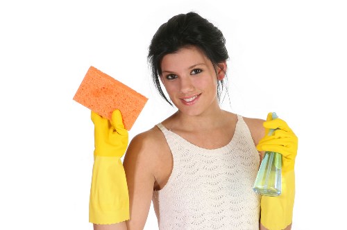 Steam cleaning equipment in use during a carpet care service