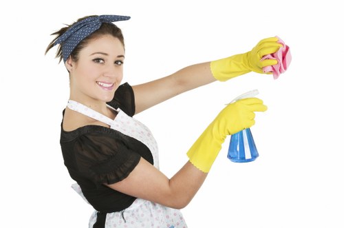 Deep rug cleaning process removing dirt and stains in a Pinner home