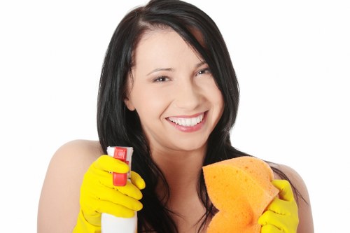 Specialist cleaning of carpets and rugs for pet odour removal