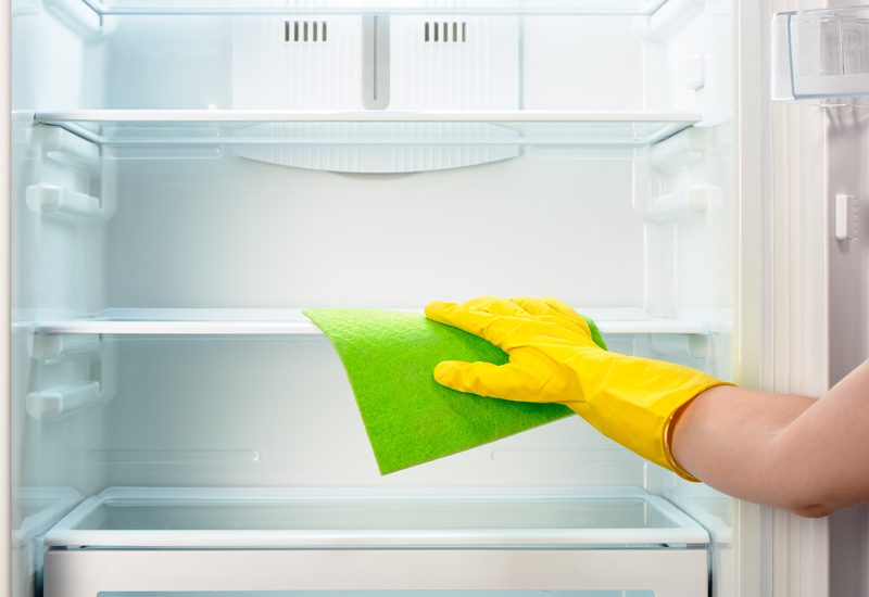 carpet cleaning carpet cleaners